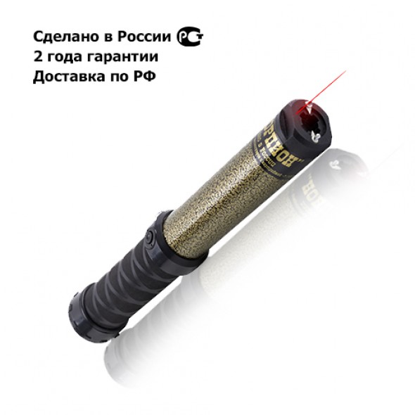 A bill on the right of employees of train stations and airports to use tasers has been submitted to the State Duma